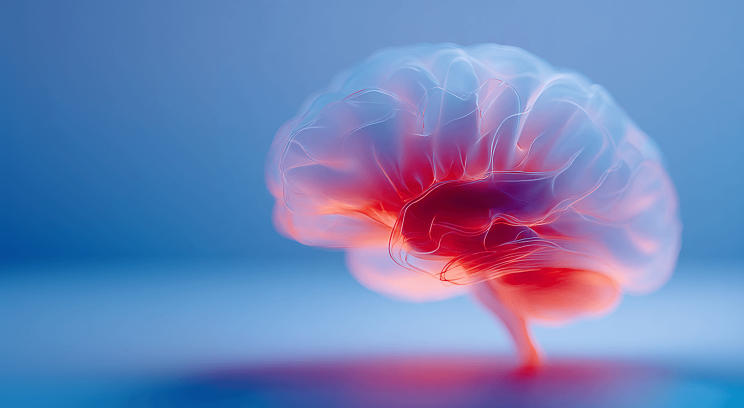 Long-Term Brain Support